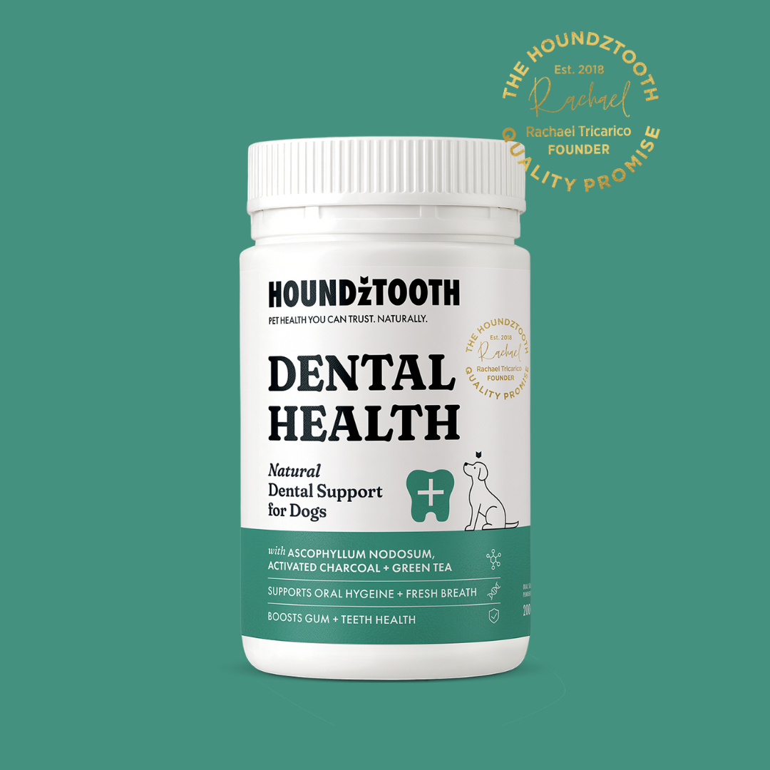 Houndztooth Breath & Oral Health