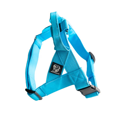 Staffy Harness image 5