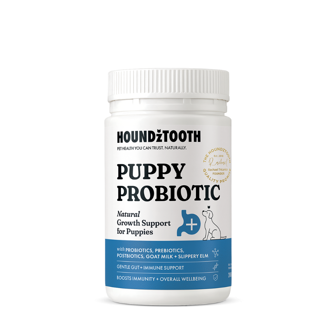 Houdztooth Puppy Probiotic