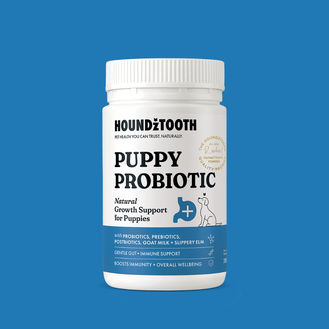 Houdztooth Puppy Probiotic
