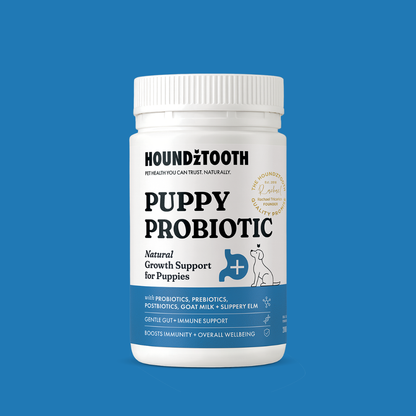Houdztooth Puppy Probiotic