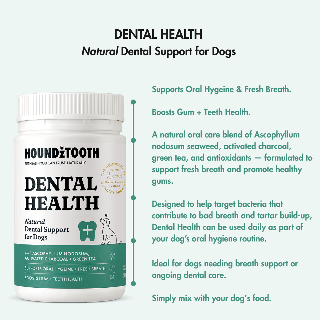 Houndztooth Breath & Oral Health