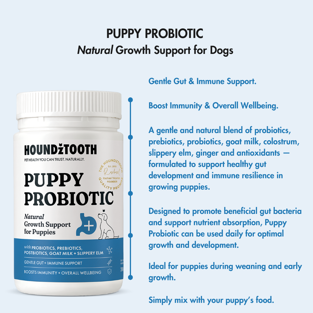 Houdztooth Puppy Probiotic