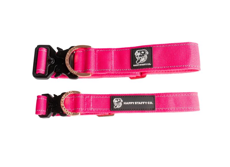 Durable Staffy Collar image 3