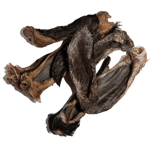 Goat Ears with Hair On image 0