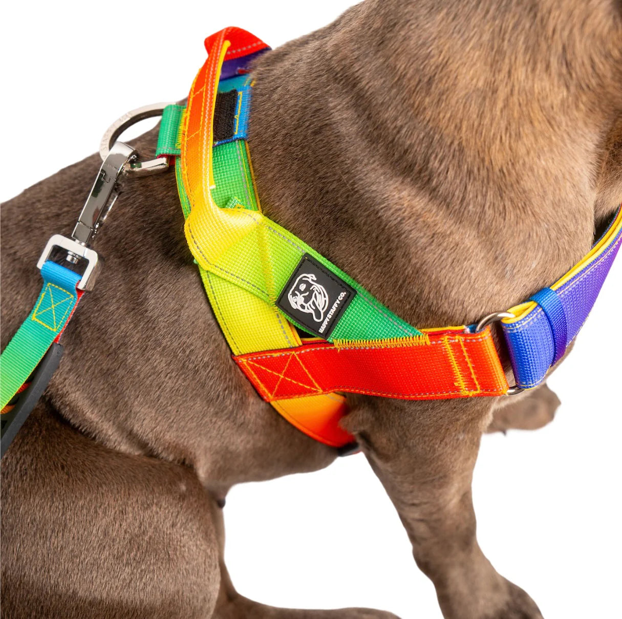 Staffy Harness image 4