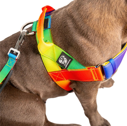 Staffy Harness image 4