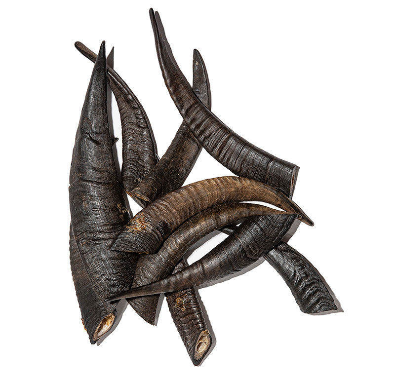 Goat Horn with Marrow image 0