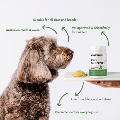 Houdztooth Prodigestive Aid