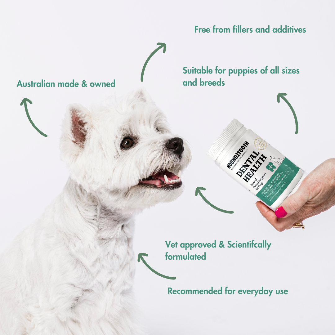 Houndztooth Breath & Oral Health