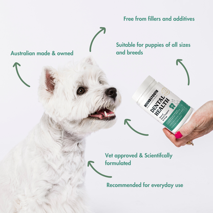 Houndztooth Breath & Oral Health