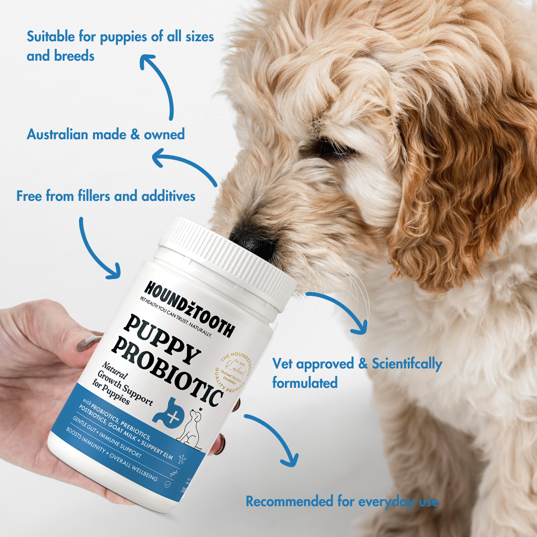 Houdztooth Puppy Probiotic