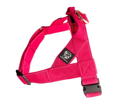 Staffy Harness image 0