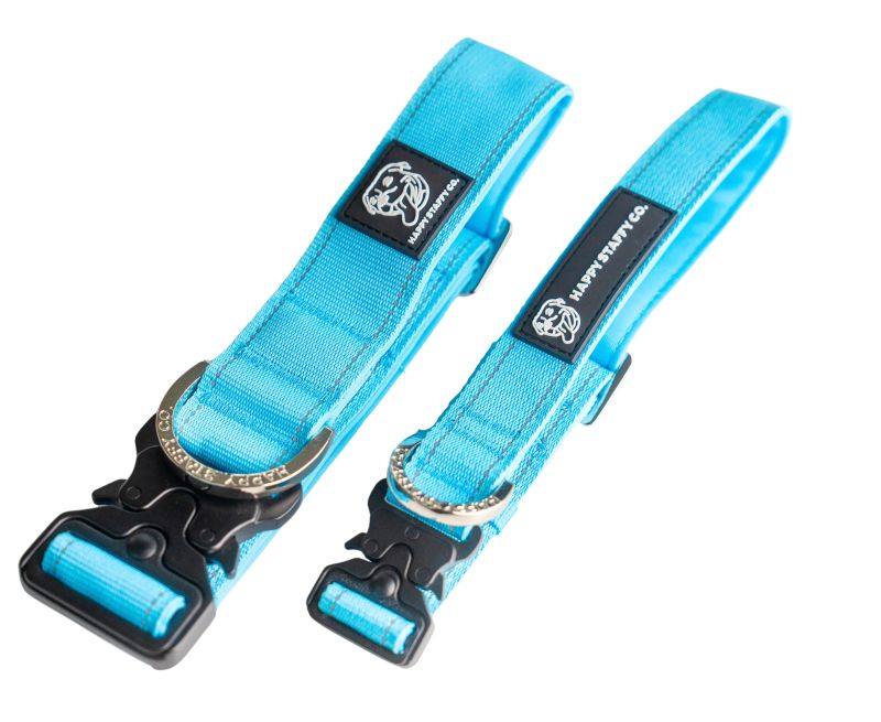 Durable Staffy Collar image 0