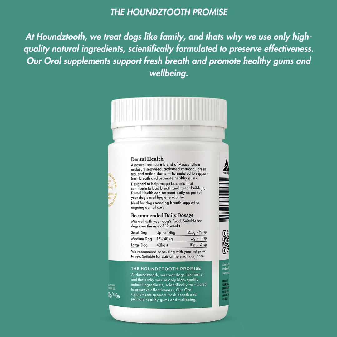 Houndztooth Breath & Oral Health
