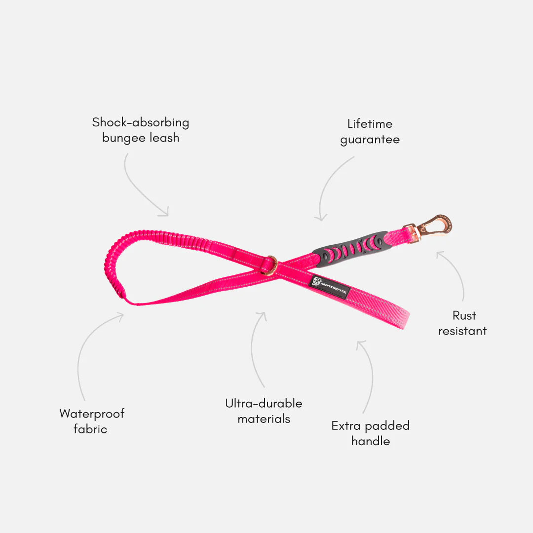 Anti Shock Bungee Leash image 2