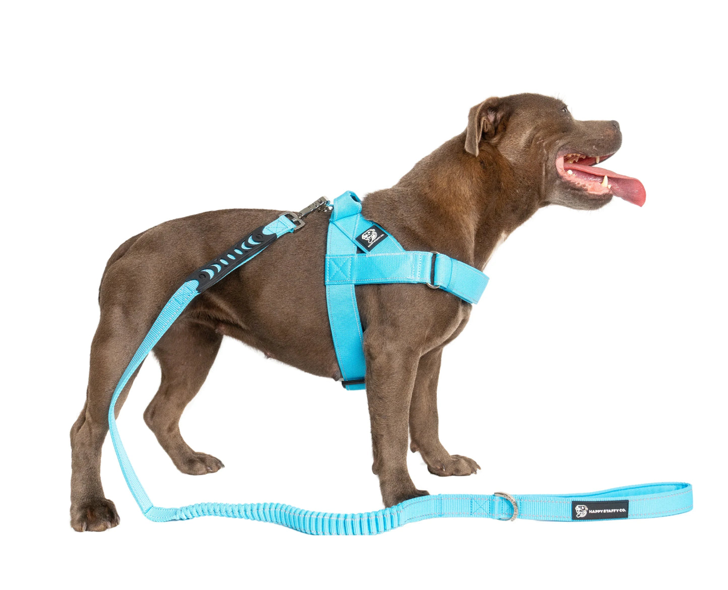 Anti Shock Bungee Leash image 3