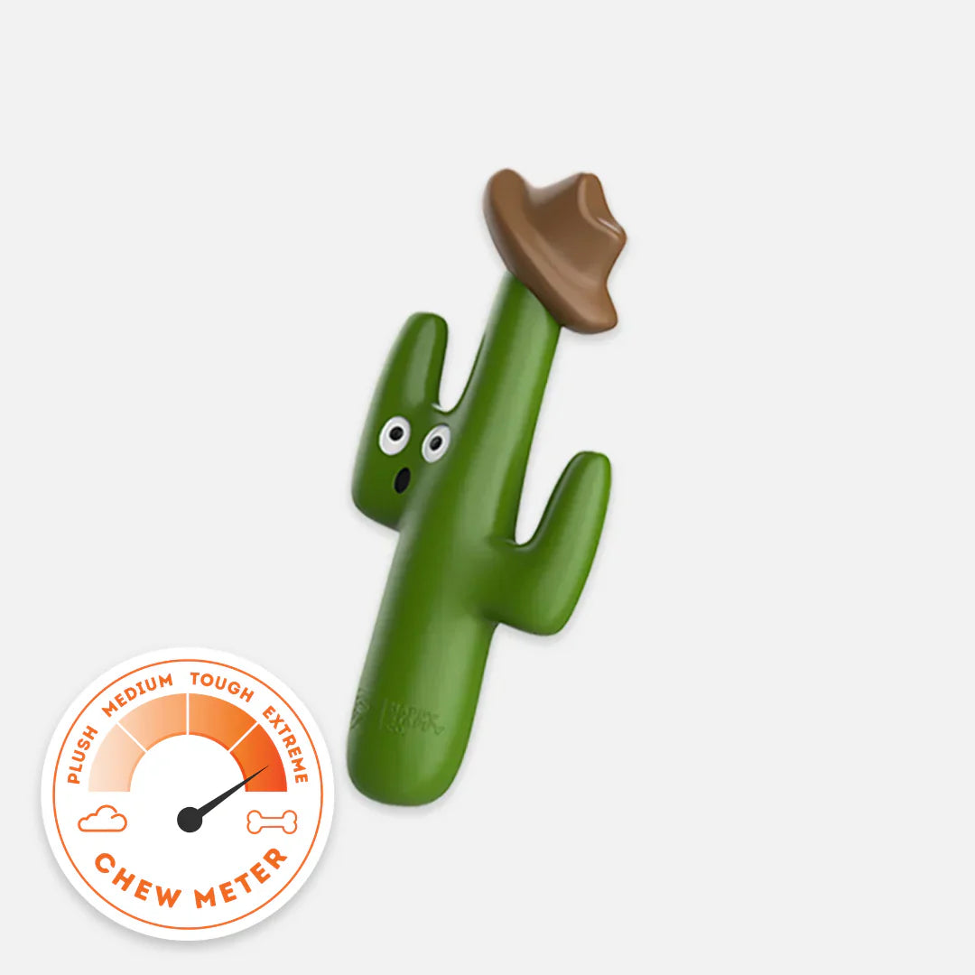 Cactus Cowboy