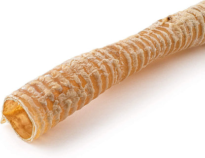 Goat Trachea