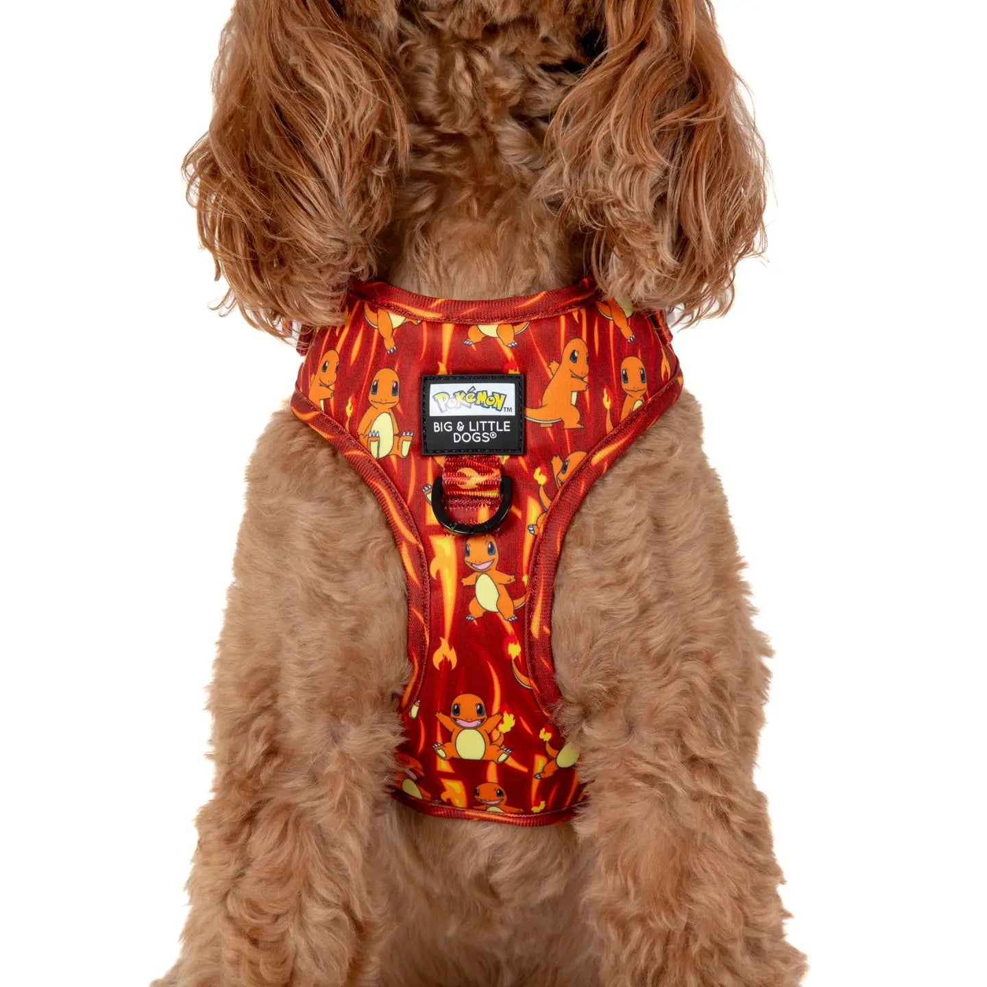 Adjustable Dog Harness (with Neck Clip): Pokémon Collection - Charmander