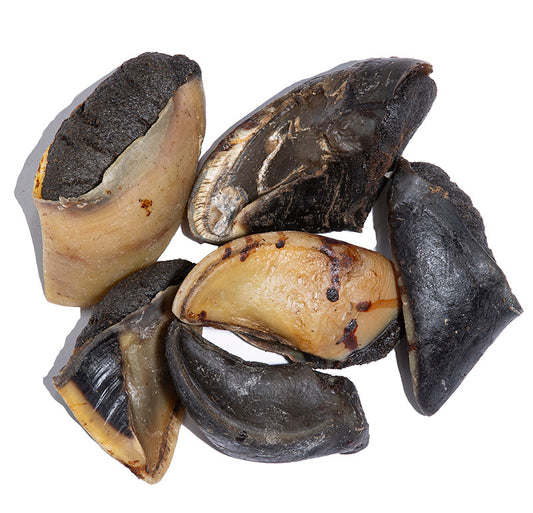 Cow Hooves filed with Kangaroo image 0