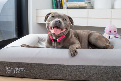 Deluxe Orthopedic Memory Foam Bed image 4