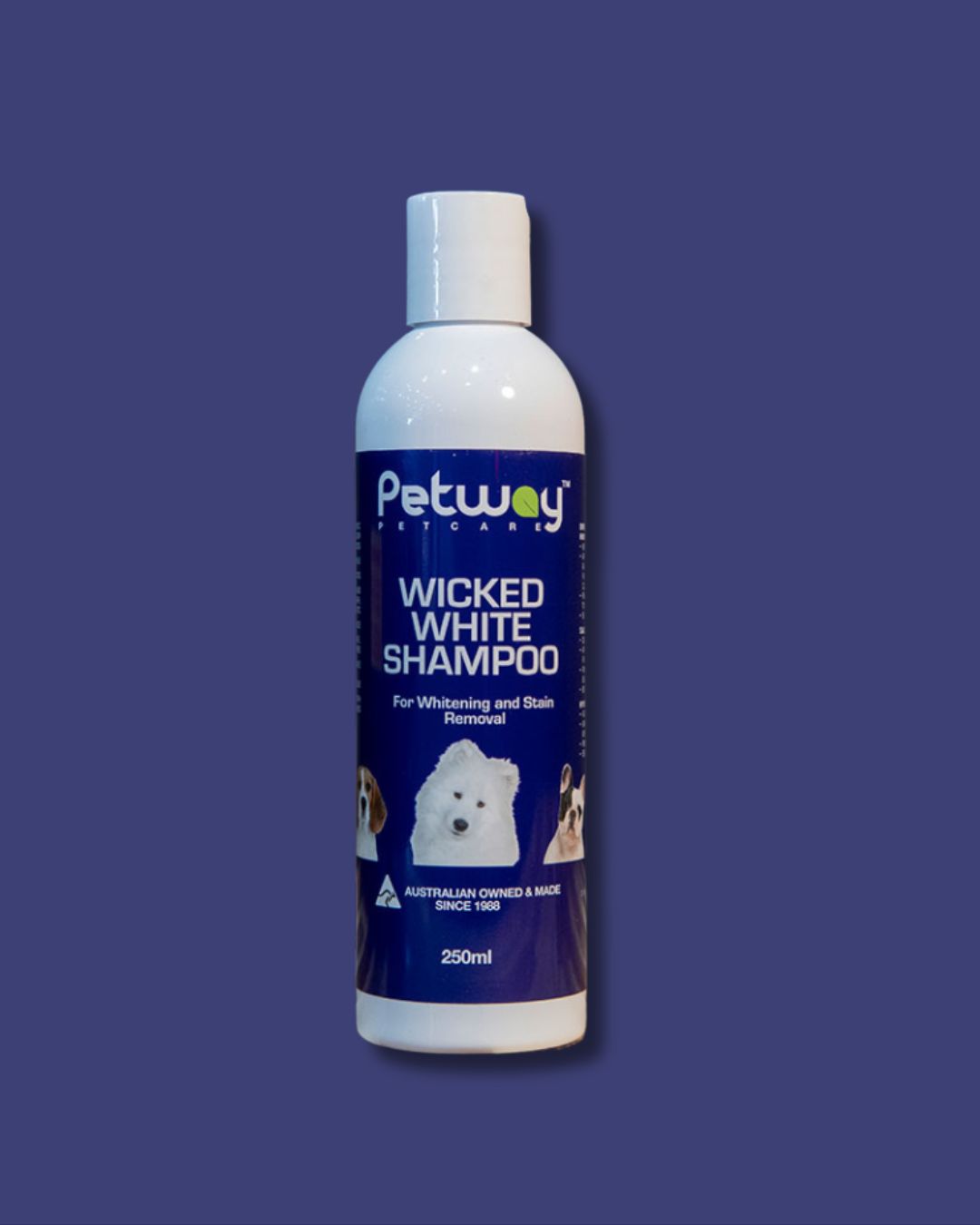 Petway Wicked White Shampoo